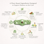 Hi Navel Balance Patch